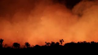Smoke billows during a fire in an area of the Amazon rainforest near Humaita, Amazonas State, on 17 August