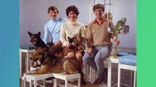 Peter Purves, Valerie Singleton and John Noakes with Petra, Patch, Jason and Barney.