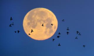 super moon