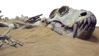 حفرية ديناصور