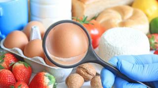 Alimentos