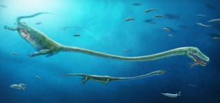Dinocephalosaurus