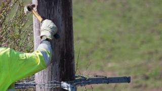 Workman on a wooden power cable