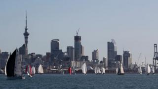 Sailboats on Auckland Harbour