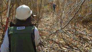 Funcionários do Serviço Florestal Brasileiro em trabalho de campo em 2017