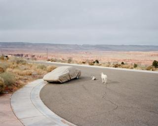 A covered car with two dogs in a lay-by.