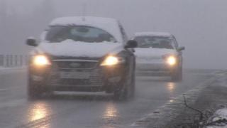 Càraichean san t-sneachda