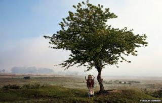 An idol of Kali stands under a tree on a World War Two airfield