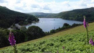 Desa Derwent