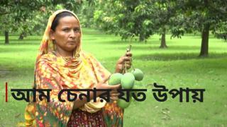 আম চেনার যত উপায়