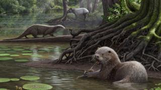 Artist impression of the huge otter