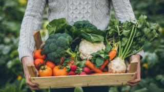 Swing to organic farming would boost emissions 3