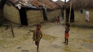 वाढी प्रभावित पर्साको गाँउ
