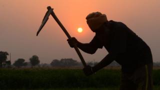 ખેડૂત