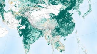Mapa mostra áreas de vegetação pelo mundo