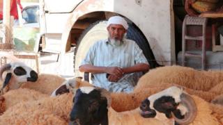 in_pictures A breeder is seen near sacrificial lambs at a livestock market ahead of the Eid al-Adha in Tripoli, Libya on July 29, 2020. The economic situation, which has been progressively deteriorating after the 14-month attacks launched by the Khalifa Haftar, the leader of the illegitimate armed forces in the east of the country, on April 4 last year, also had a negative impact on the sales of the sacrificial animals.