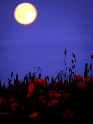 Strawberry moon in Norwich, England