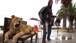 Un tigre con su dueño