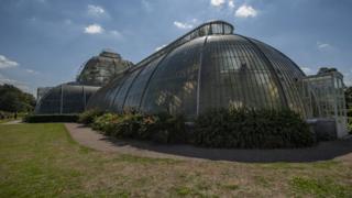 Palm House at Kew Gardens in London