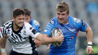Zebre Scarlets