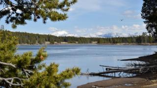 Rio Yellowstone