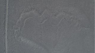 linhas de Nazca