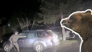 Полицейский разбивает стекло