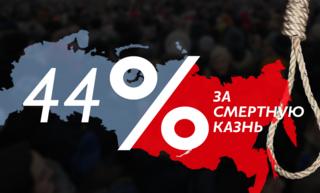 44%