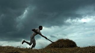 వ్యవసాయ పనుల్లో ఓ వ్యక్తి