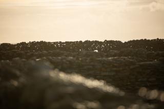 Silhouette of the wall, including some holes