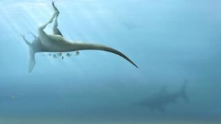 Artist's impression of Vectaerovenator inopinatus