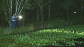Police point their weapons at an Australian man who refused to leave a dam after crashing a car