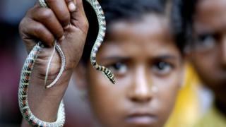 A child snake charmer in India