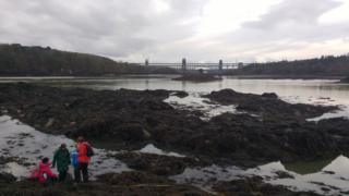 gwirfoddolwyr