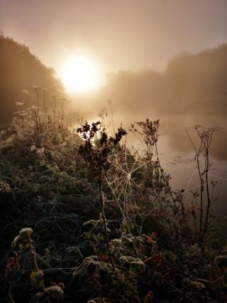 Misty and frosty weather along the Union Canal to Falkirk High