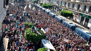 A main avenue in Algiers flooded with people