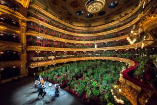 in_pictures Musicians on stage perform to an auditorium full of plants