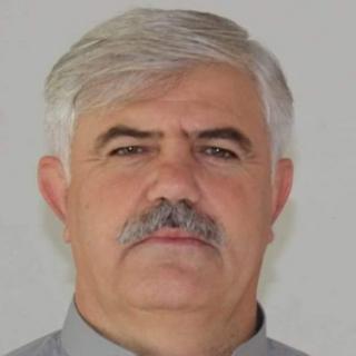 محمود خان