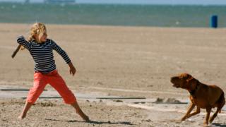 Girl throws stick to dog on beach