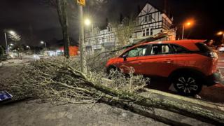 Car in Belfast on Sunday evening hit by tree brought down by Storm Isha