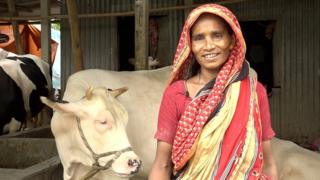 কোরবানির পশুর যোগান দিচ্ছেন যে নারীরা