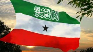 Ururka suxufiyiinta iyo hay'adaha xuquuqda aadanaha ayaa ka walaacsan sida ay dowladdu u maamusho xorriyadda hadalka