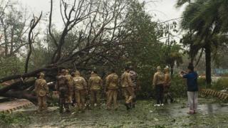 రోడ్లపై చెట్లు