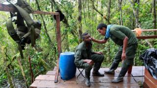 Guerrilleros de las FARC