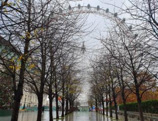 Autumnal trees lining a walkway in front of the London Eye