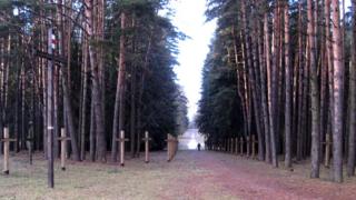 Аллея в Куропатах