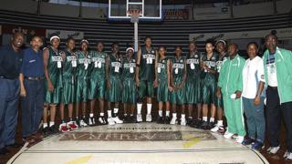 D'Tigress