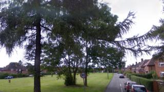 Hyde Green