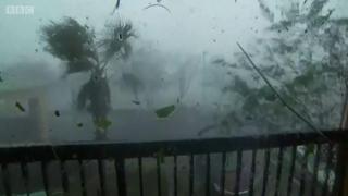 Hurricane
