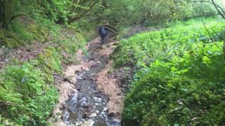 Afon Taf, Carmarthenshire